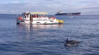 Sabina Lets a Man Fuck Her under Water for an Ocean Pol