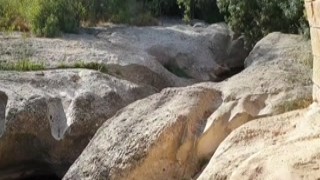 Julia Roca outdoor solo masturbation fingering pussy hairy