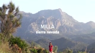 Milla - Sierra Nevada