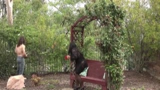 A busty milf fucks gardener and squirts