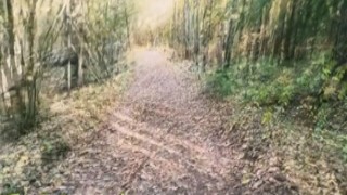 SWife Katy - In a Mystical Forest , a Ghost Fucks me in Anal and Ends up on my Face w