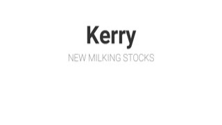 HuCows - Kerry - New Milking Stocks