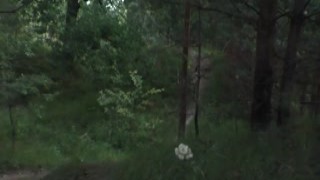 FemFoxFury - My Slutty Girlfriend Walks in the Park Naked and Jerks My Dick